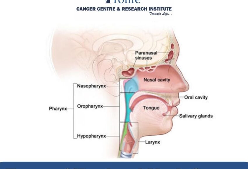 Types of Head and Neck Cancer | Prolife Cancer Centre