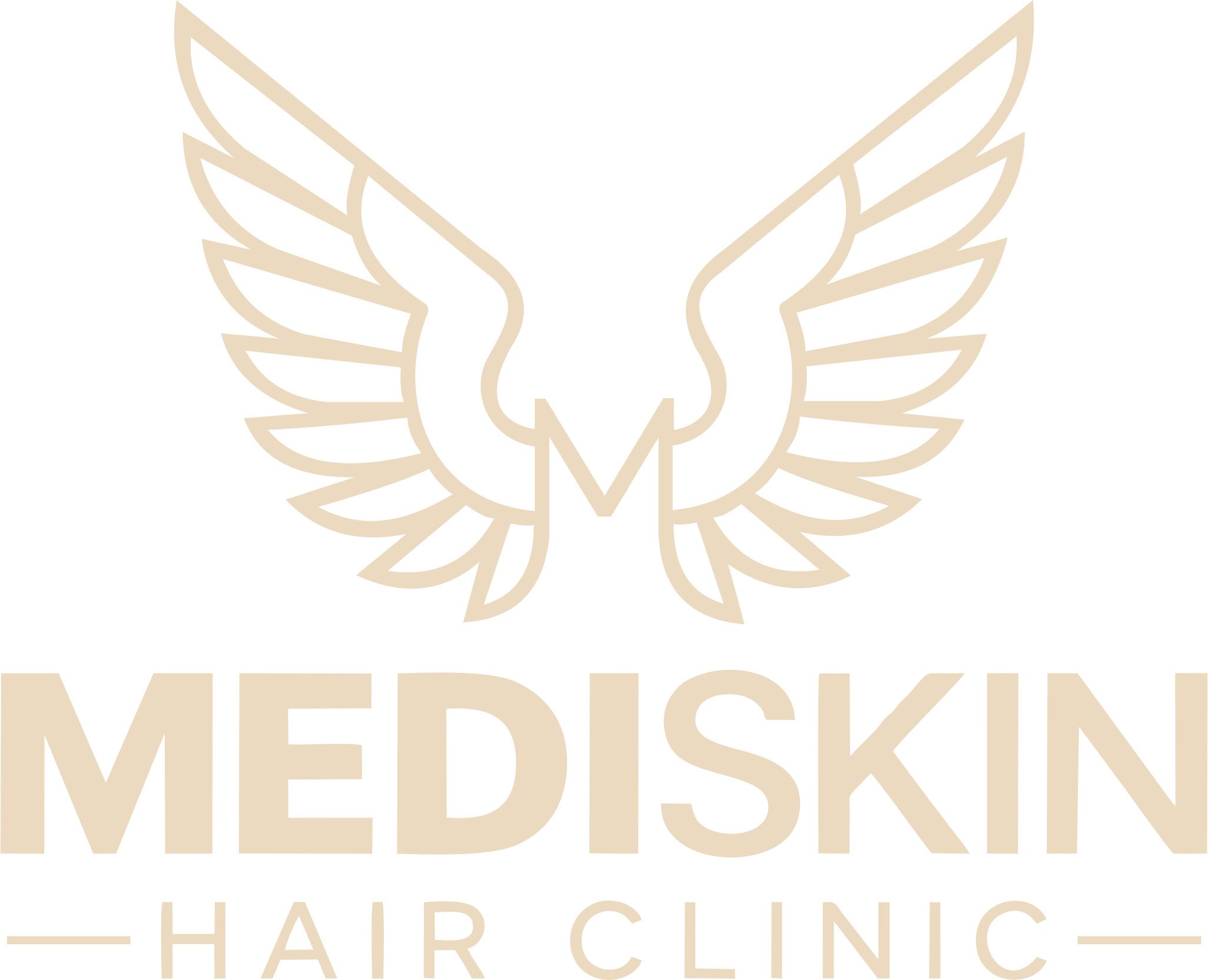 default-logo